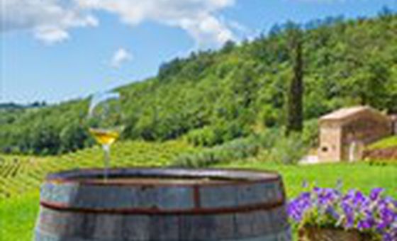 Vineyard view from a terrace overlooking hills under a blue sky